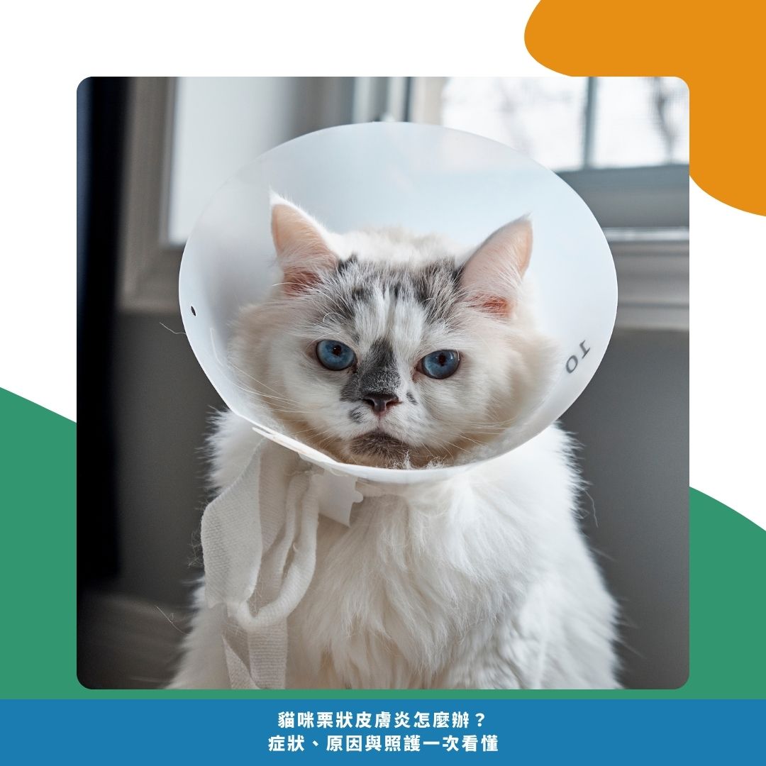 為什麼會發生栗狀皮膚炎? 為什麼會發生栗狀皮膚炎?