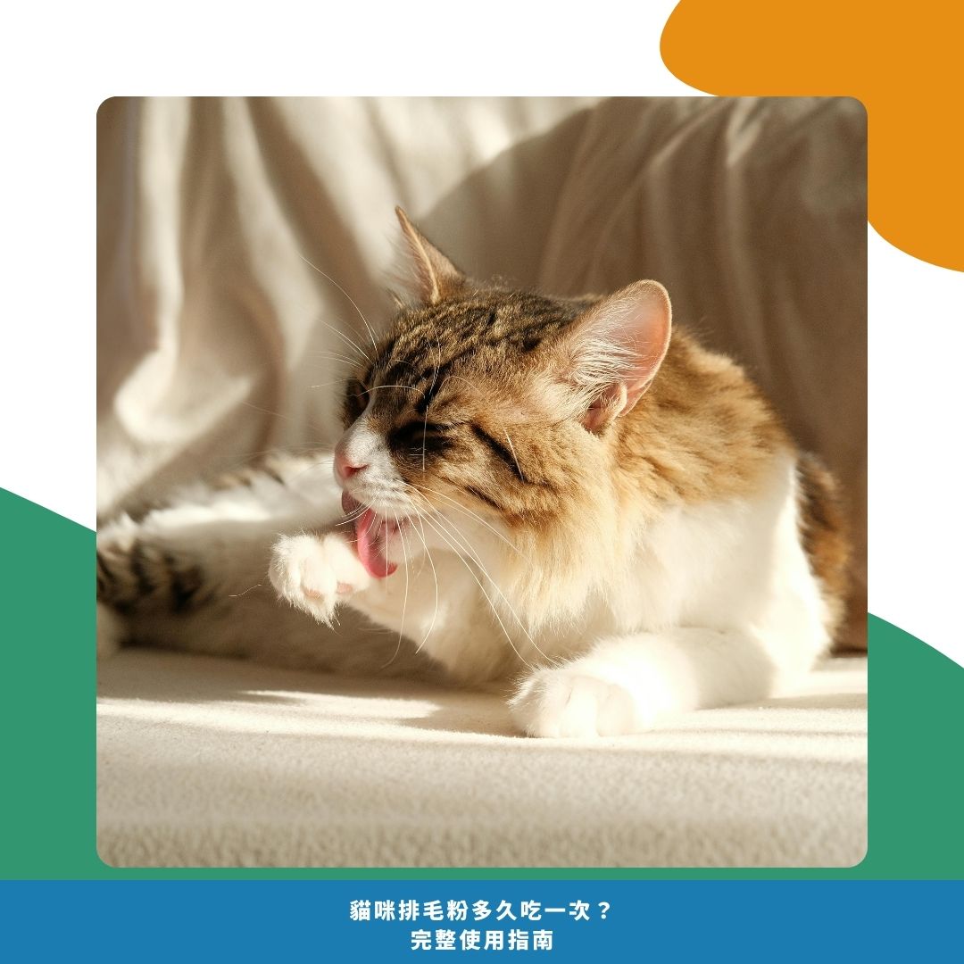 為什麼貓咪需要排毛粉? 為什麼貓咪需要排毛粉?