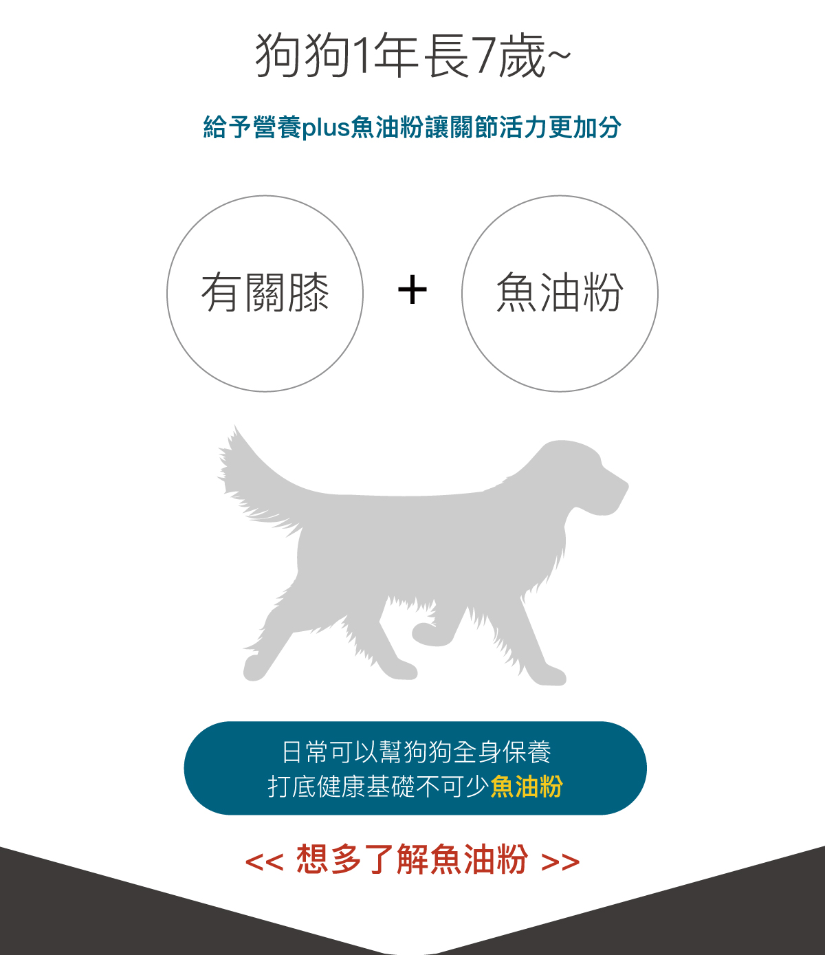 木入森 犬寶有關膝｜狗狗關節保健食品