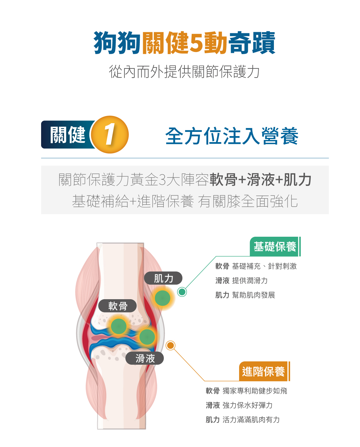 木入森 犬寶有關膝｜狗狗關節保健食品