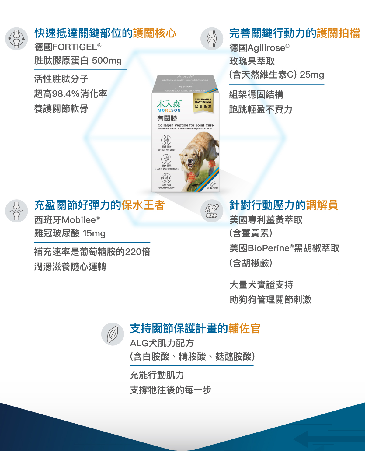 木入森 犬寶有關膝｜狗狗關節保健食品