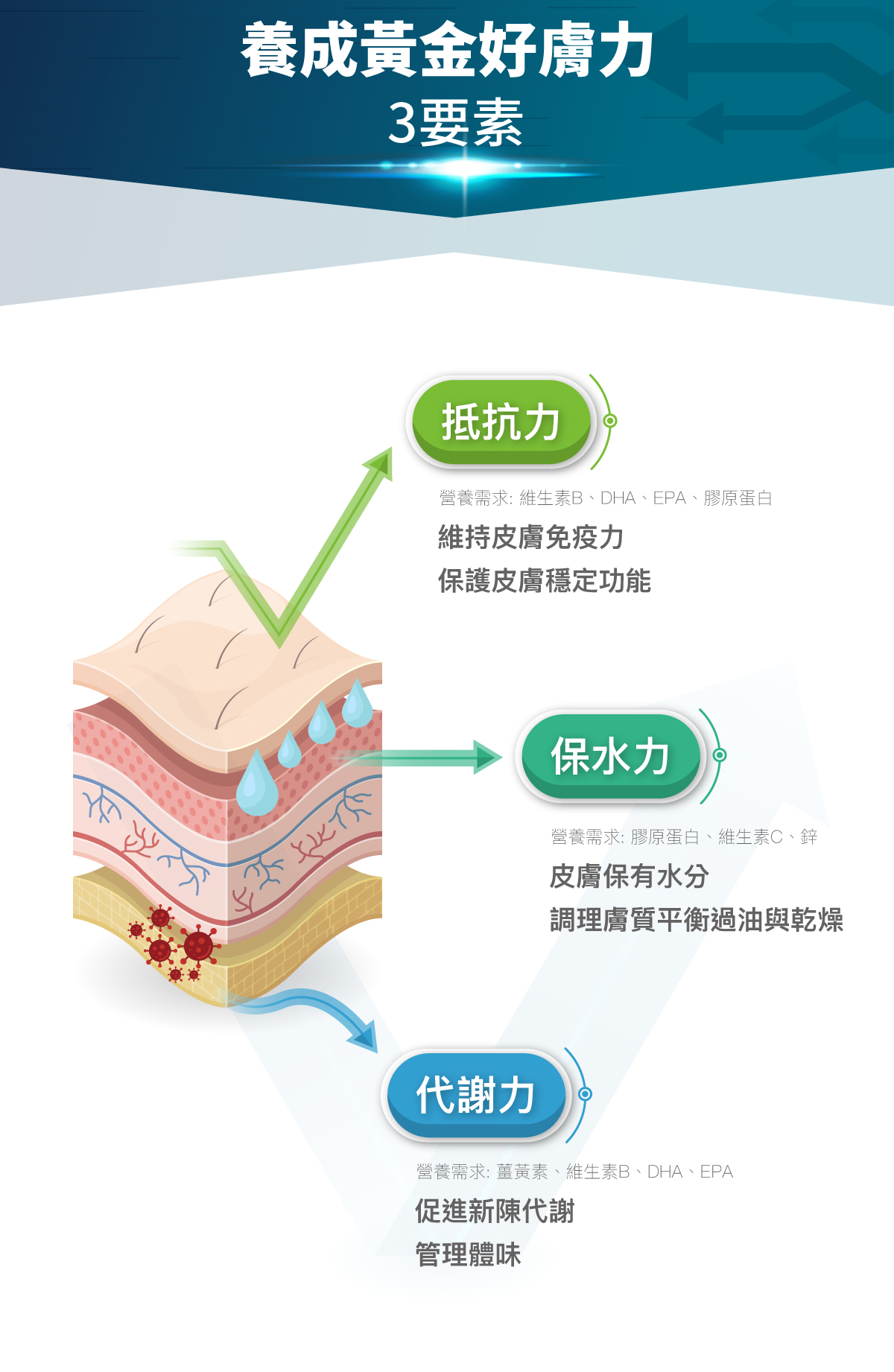 木入森 犬寶膚立好|狗狗皮膚保健食品 木入森 犬寶膚立好|狗狗皮膚保健食品