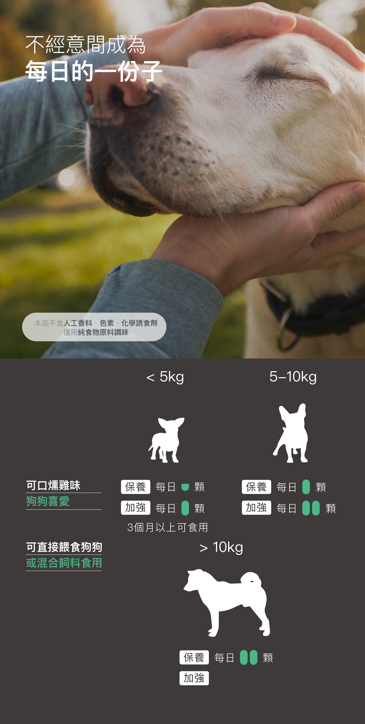木入森 犬寶珍心動｜狗狗心臟保健食品