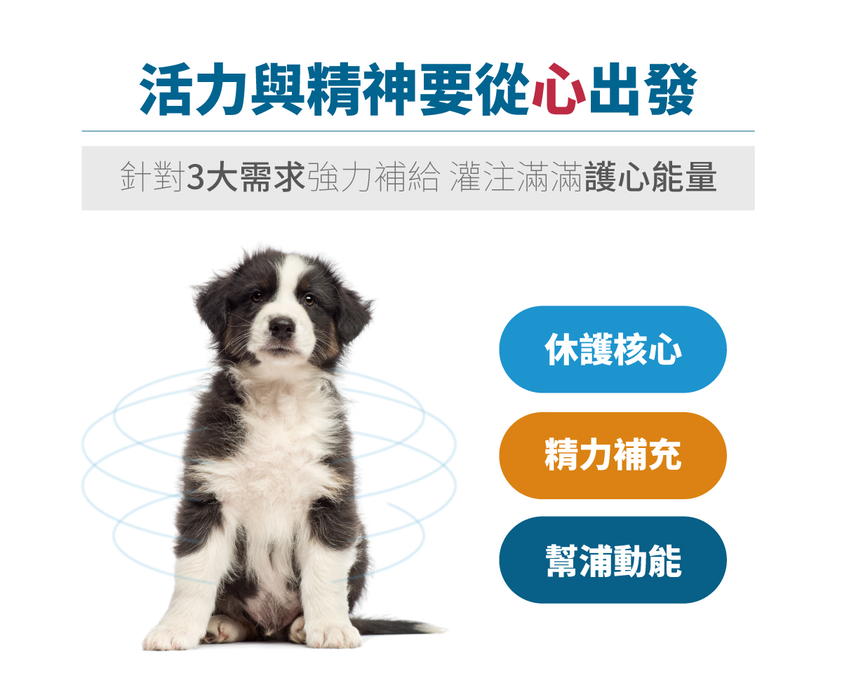 木入森 犬寶珍心動｜狗狗心臟保健食品