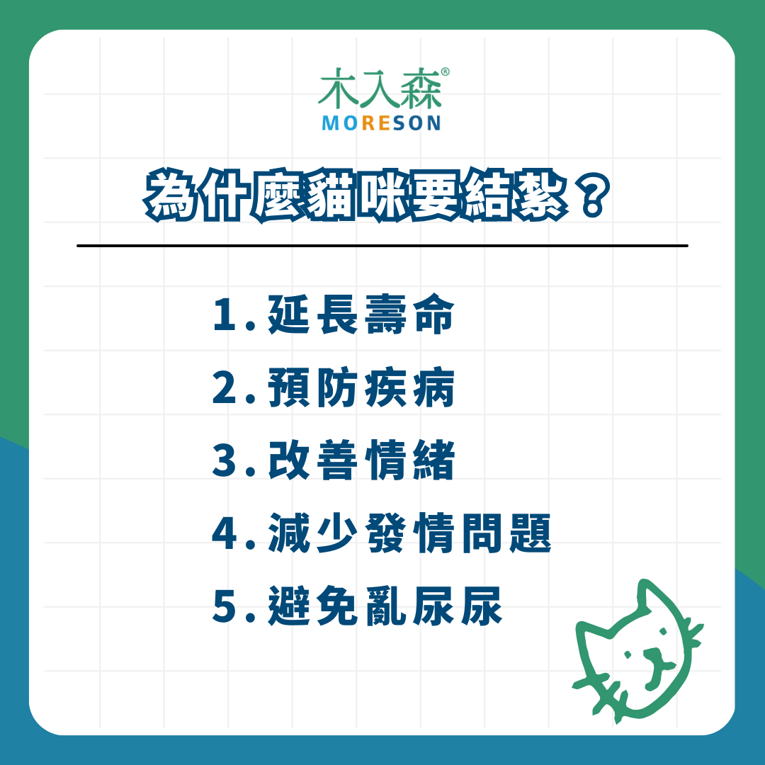 貓咪結紮總整理|公母貓結紮費用、年紀 貓咪結紮總整理|公母貓結紮費用、年紀