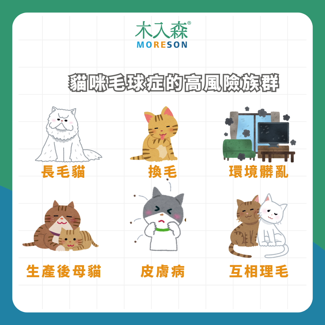 貓咪又吐毛!「貓咪毛球症」是什麼?成因、症狀與預防方式 貓咪又吐毛!「貓咪毛球症」是什麼?成因、症狀與預防方式