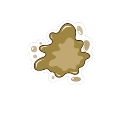 貓咪拉稀拉肚子怎麼辦?出現稀泥狀便便時的照護與就醫判斷 貓咪拉稀拉肚子怎麼辦?出現稀泥狀便便時的照護與就醫判斷