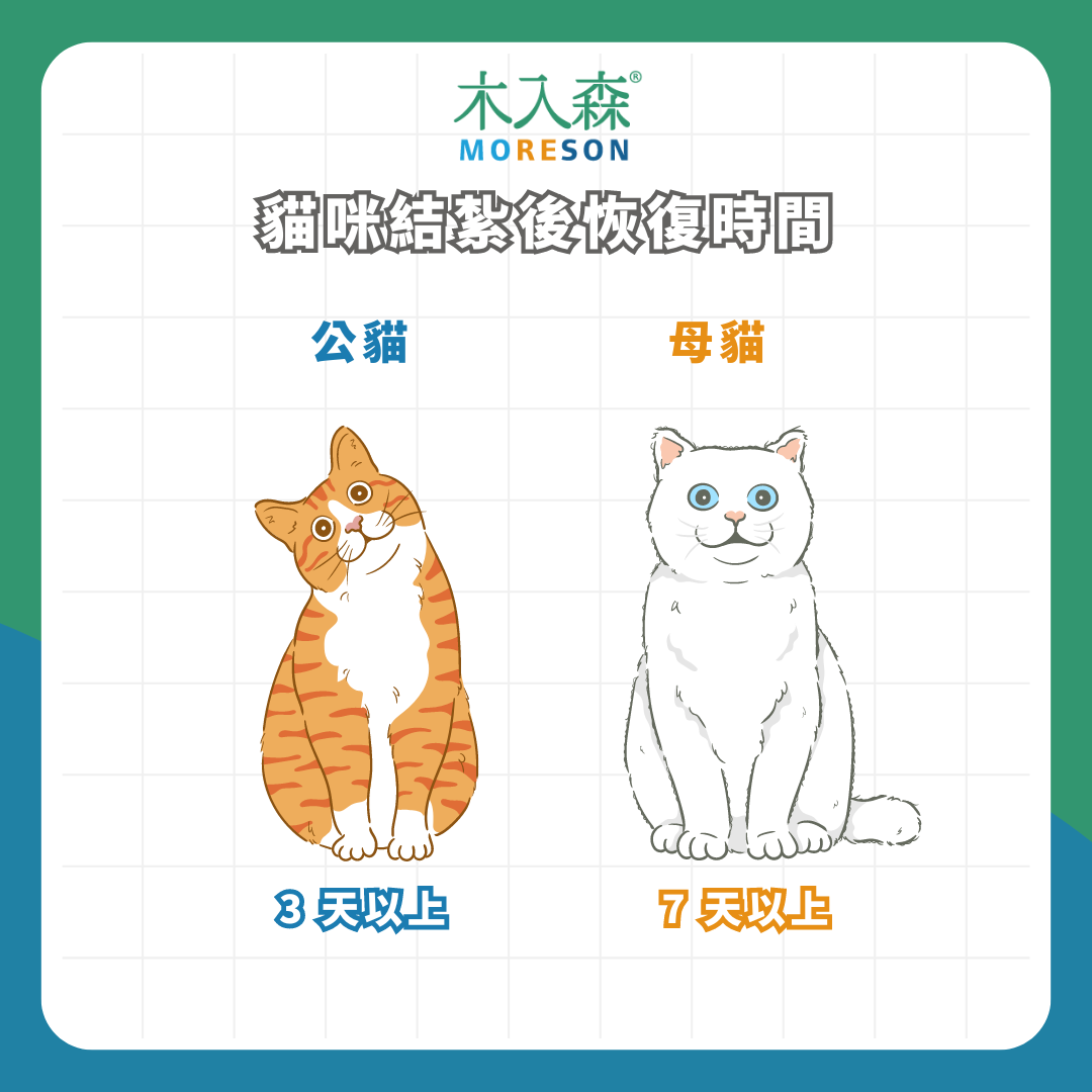 母貓結紮費用多少?各縣市結紮補助總整理 母貓結紮費用多少?各縣市結紮補助總整理