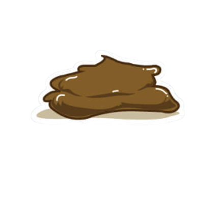 貓咪軟便怎麼辦?判斷貓咪拉肚子是否需要禁食或看醫生 貓咪軟便怎麼辦?判斷貓咪拉肚子是否需要禁食或看醫生