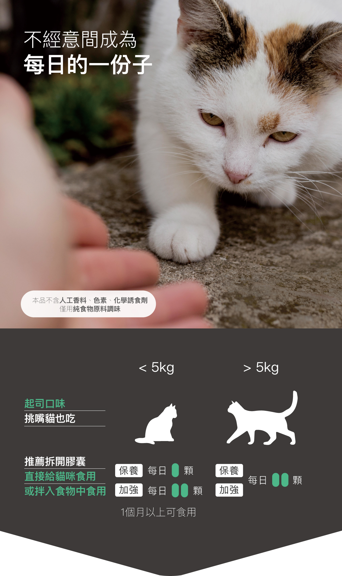 木入森 貓咪護疫升｜離胺酸等六大免疫配方