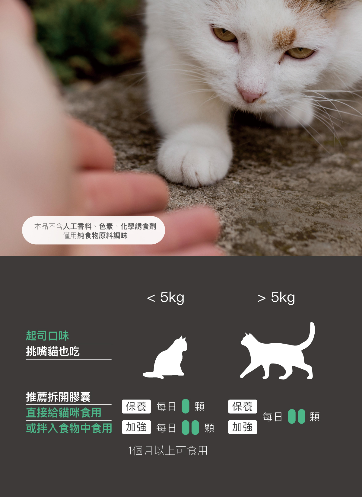 木入森 貓咪護疫升|貓咪離胺酸 木入森 貓咪護疫升|貓咪離胺酸