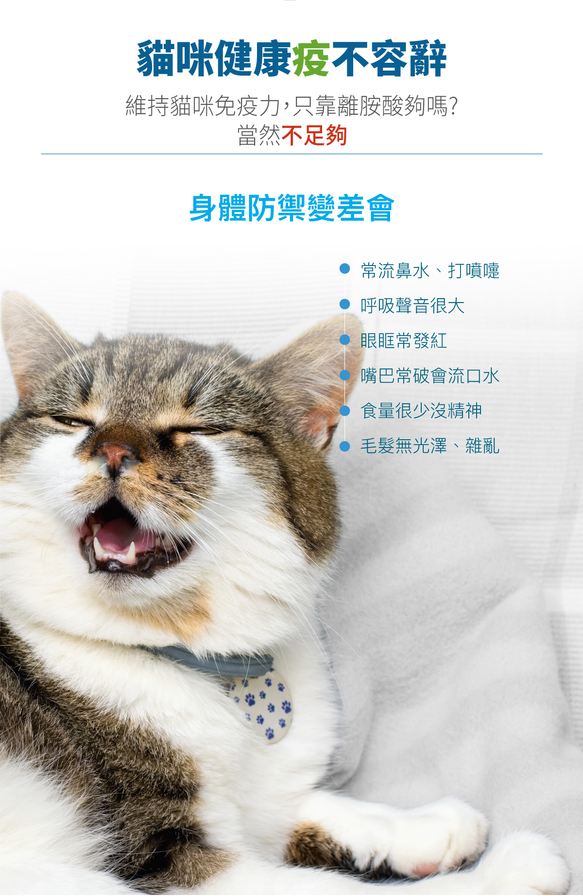 木入森 貓咪護疫升｜離胺酸等六大免疫配方