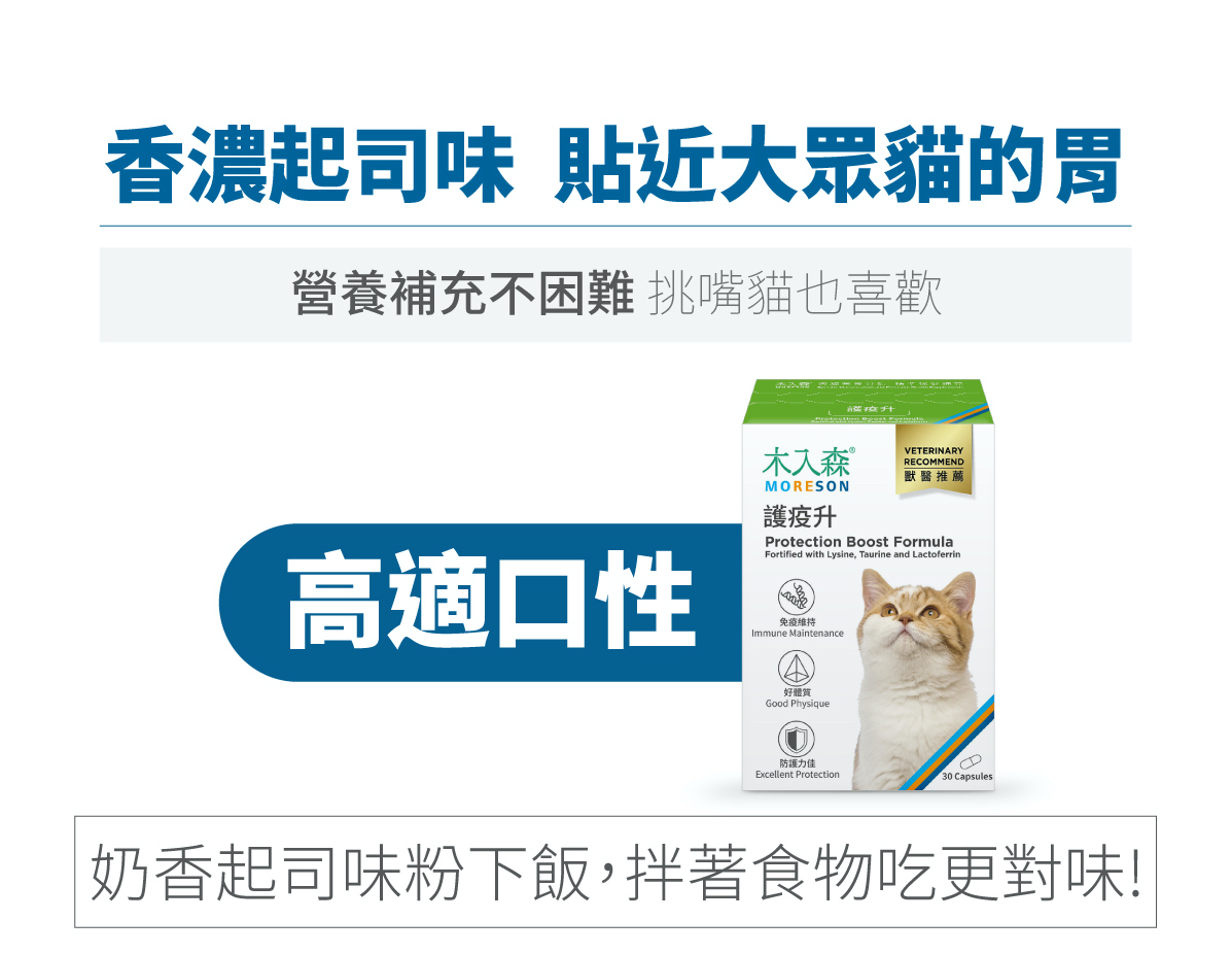 木入森 貓咪護疫升｜離胺酸等六大免疫配方