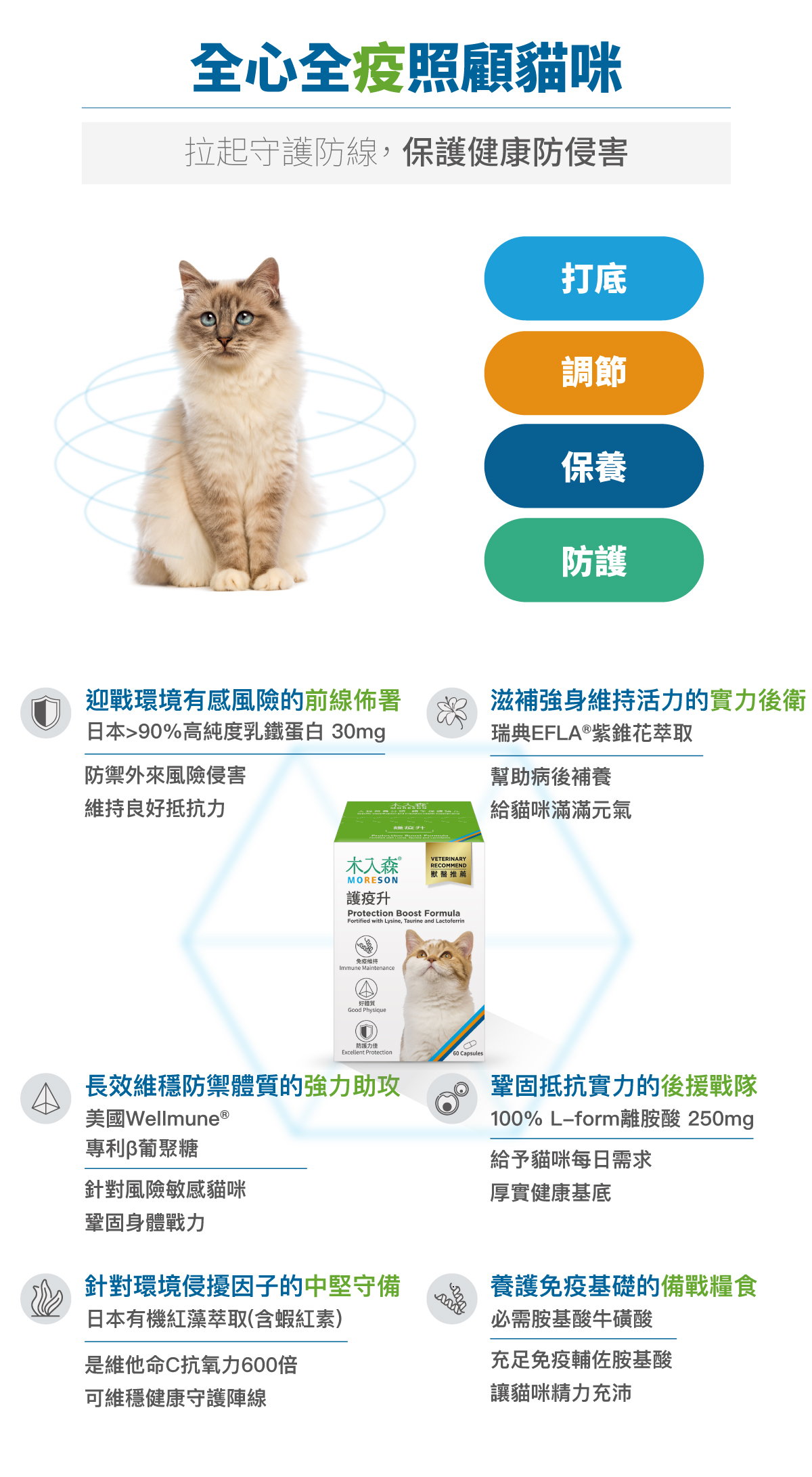 木入森 貓咪護疫升｜離胺酸等六大免疫配方