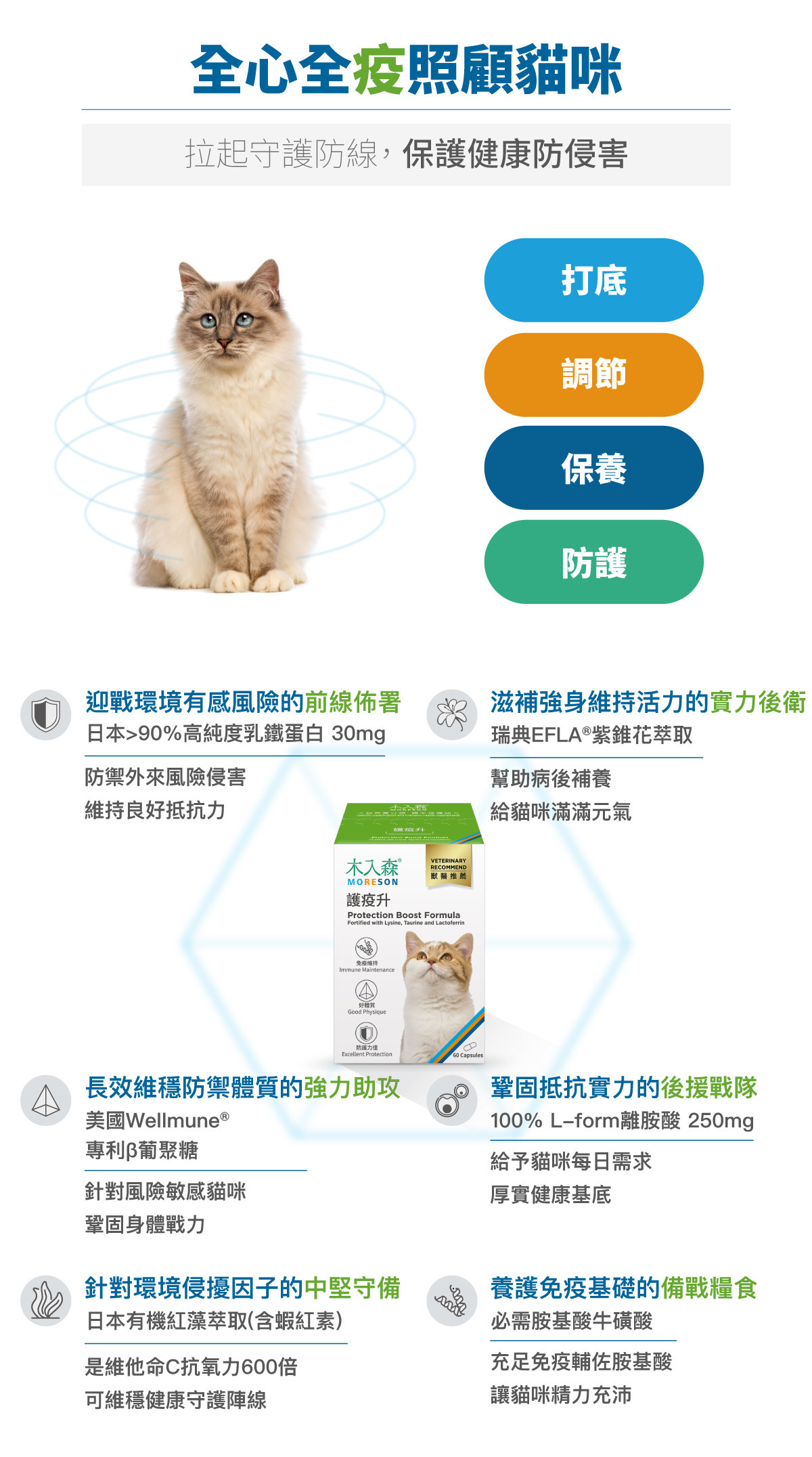 木入森 貓咪護疫升|貓咪離胺酸 木入森 貓咪護疫升|貓咪離胺酸