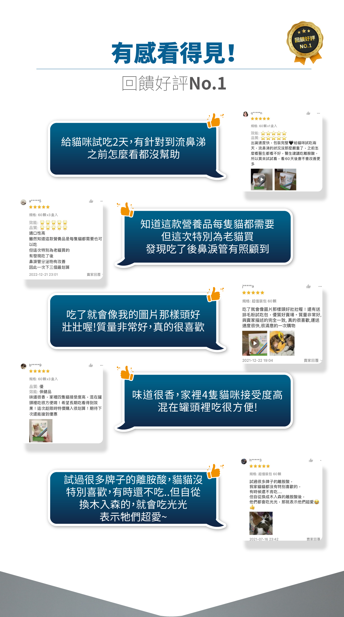 木入森 貓咪護疫升｜離胺酸等六大免疫配方