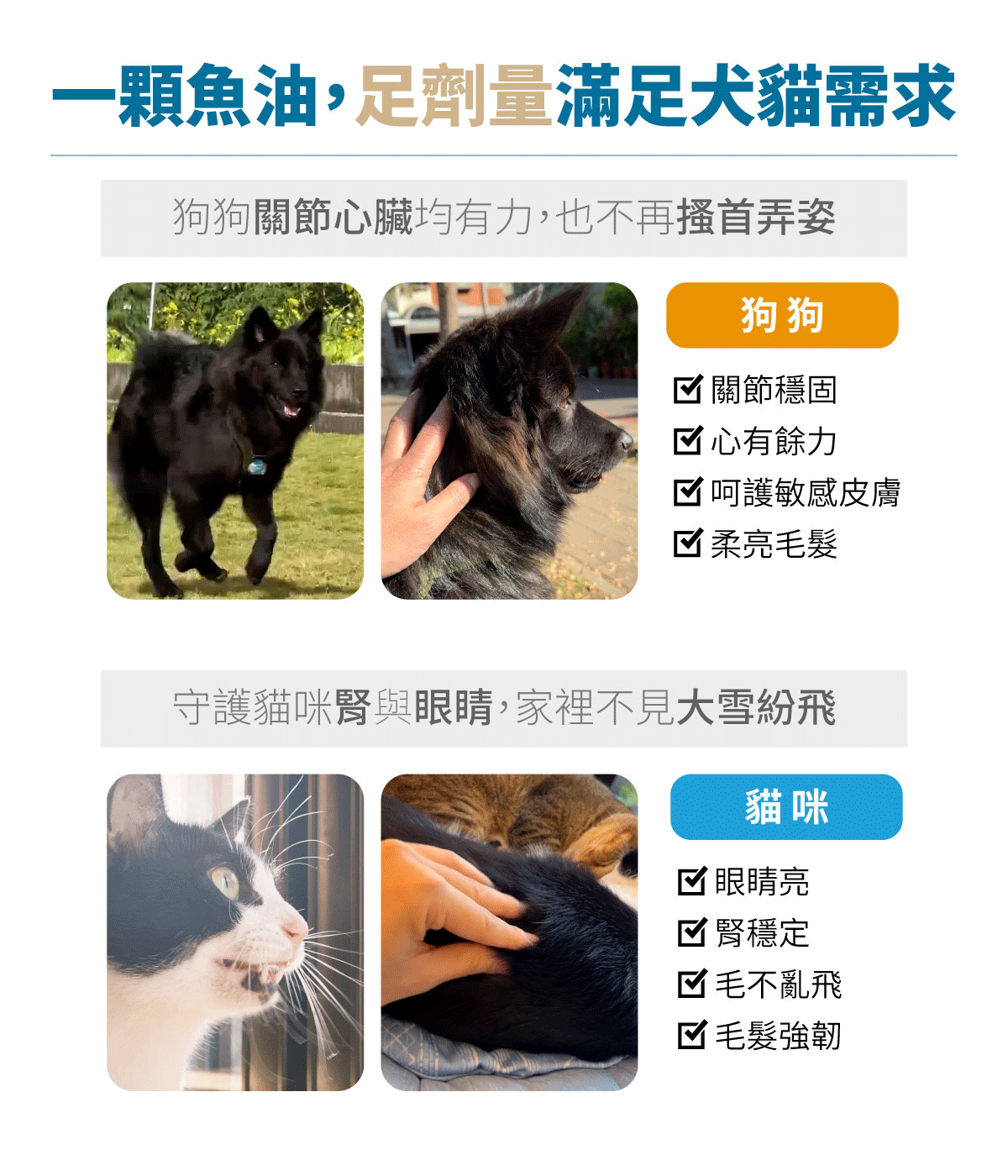 木入森 高EPA寵物魚油｜貓狗魚油推薦_6