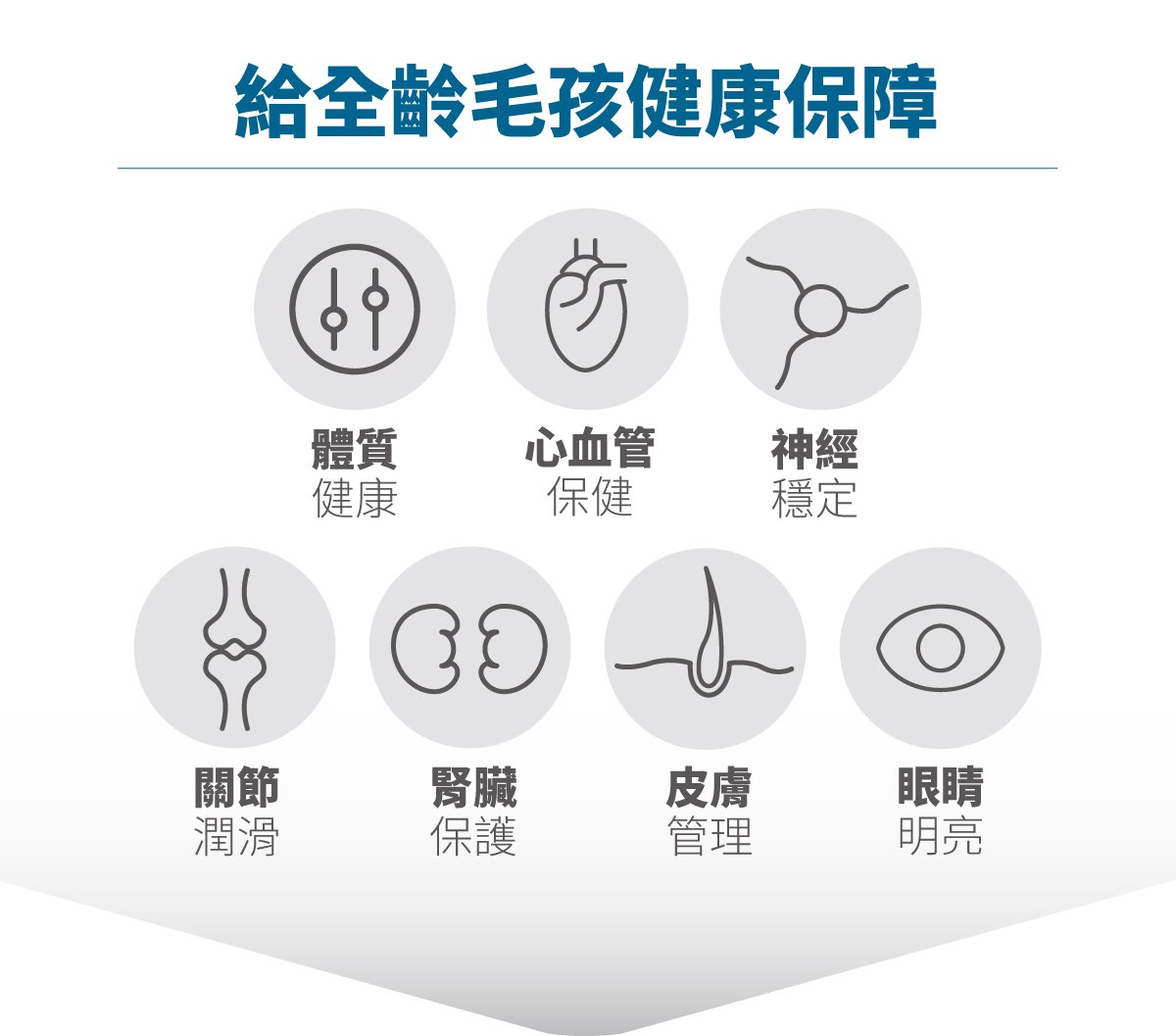 木入森 高EPA寵物魚油｜貓狗魚油推薦_7