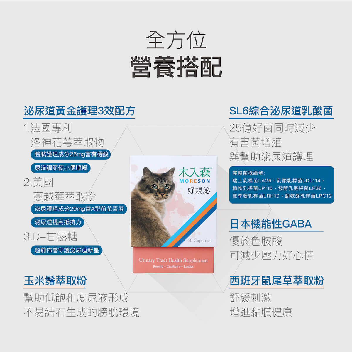 發現貓咪尿不出來?用這「5」個步驟判斷原因、症狀、預防復發方法。 發現貓咪尿不出來?用這「5」個步驟判斷原因、症狀、預防復發方法。