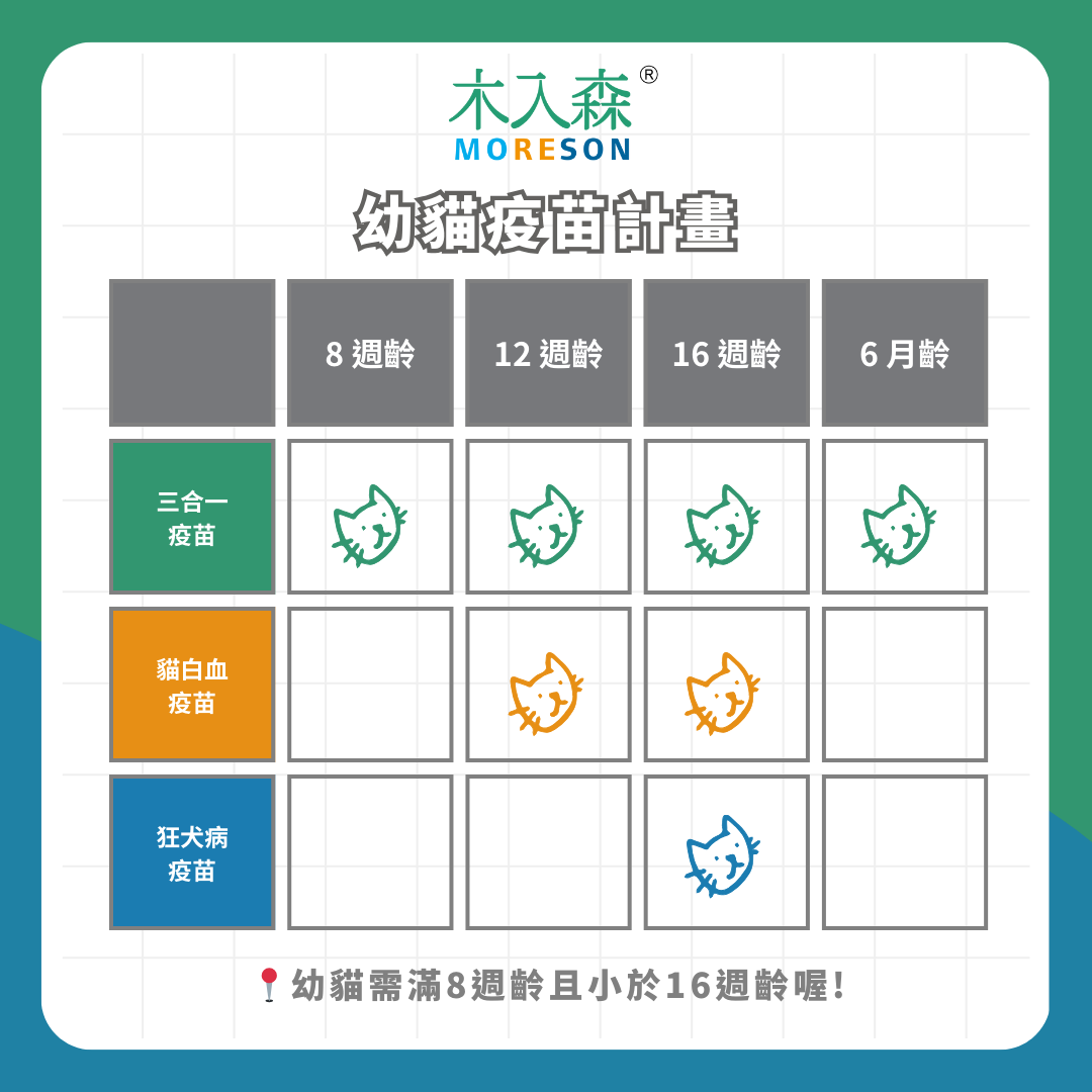 三分鐘搞懂貓咪疫苗怎麼打!成貓幼貓有什麼不同?疫苗費用總整理! 三分鐘搞懂貓咪疫苗怎麼打!成貓幼貓有什麼不同?疫苗費用總整理!