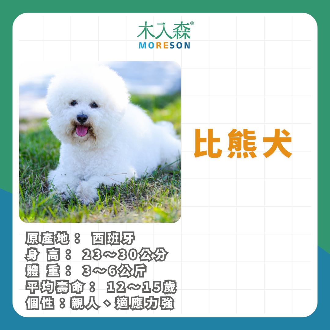 21種狗狗品種總整理|養狗狗前必讀 21種狗狗品種總整理|養狗狗前必讀