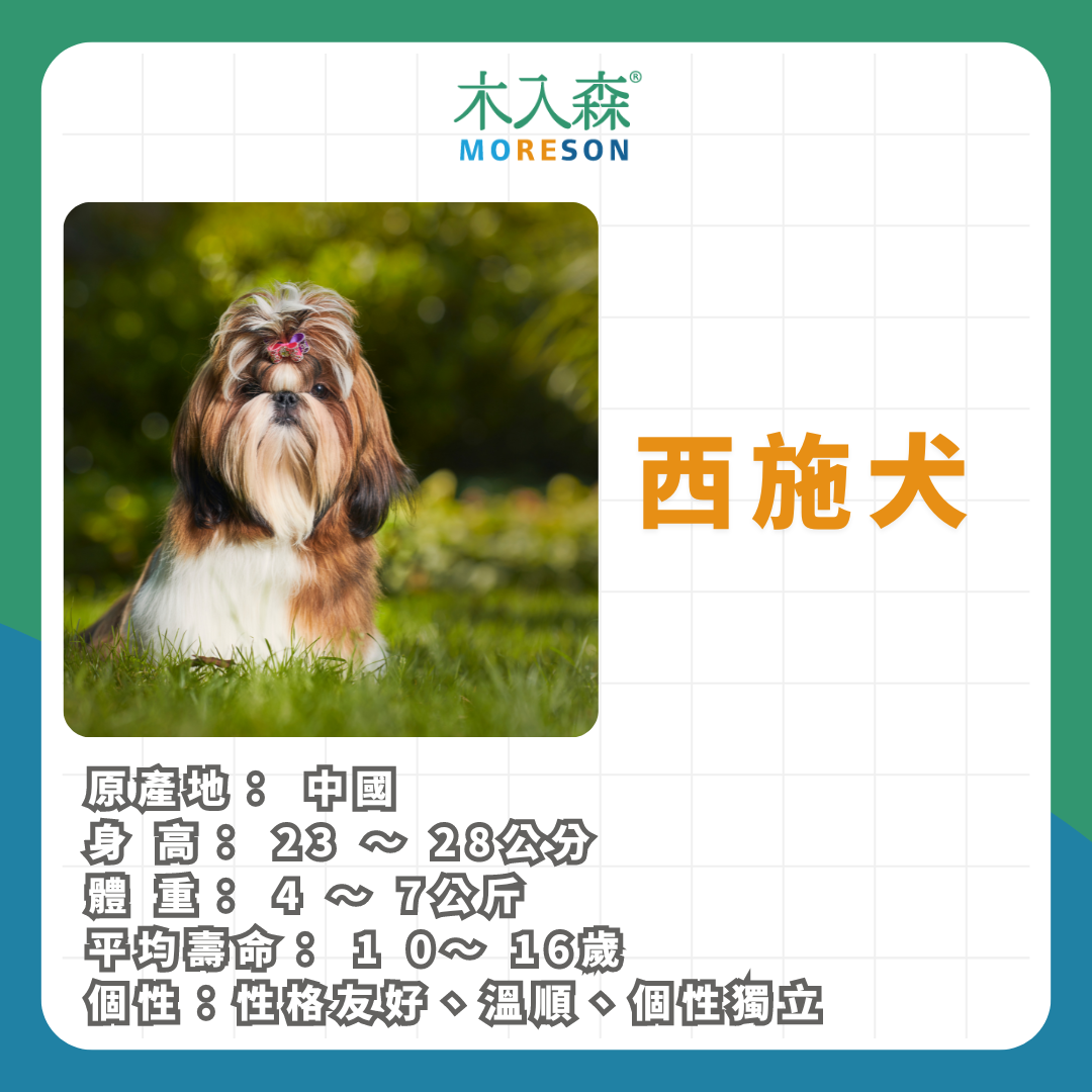 21種狗狗品種總整理|養狗狗前必讀 21種狗狗品種總整理|養狗狗前必讀