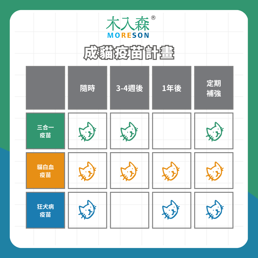 三分鐘搞懂貓咪疫苗怎麼打!成貓幼貓有什麼不同?疫苗費用總整理! 三分鐘搞懂貓咪疫苗怎麼打!成貓幼貓有什麼不同?疫苗費用總整理!