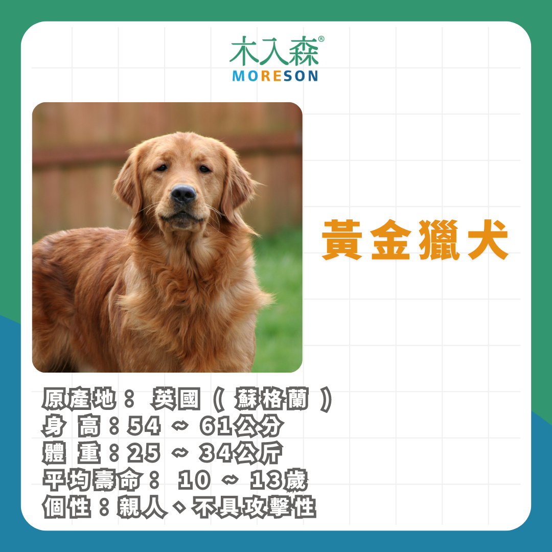 21種狗狗品種總整理|養狗狗前必讀 21種狗狗品種總整理|養狗狗前必讀