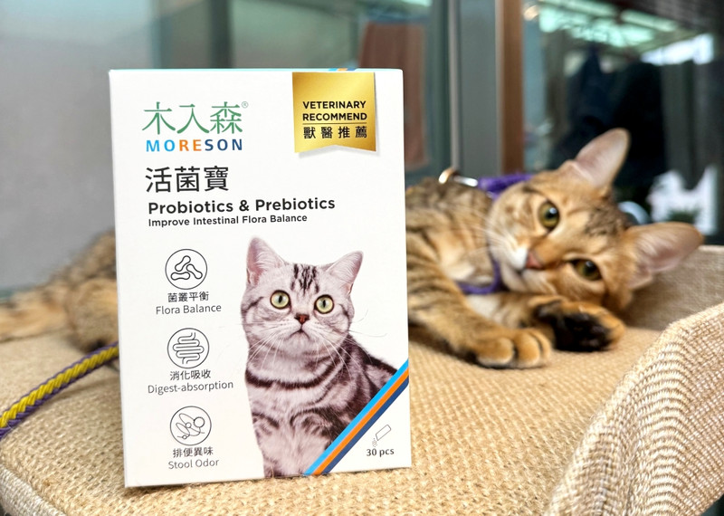貓咪保健