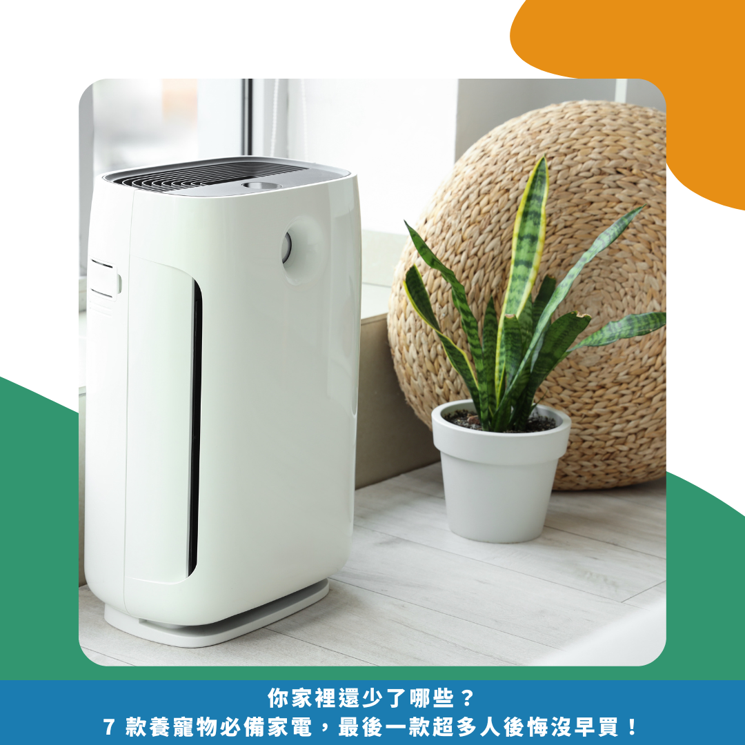 你家裡還少了哪些?7 款養寵物必備家電,最後一款超多人後悔沒早買! 你家裡還少了哪些?7 款養寵物必備家電,最後一款超多人後悔沒早買!