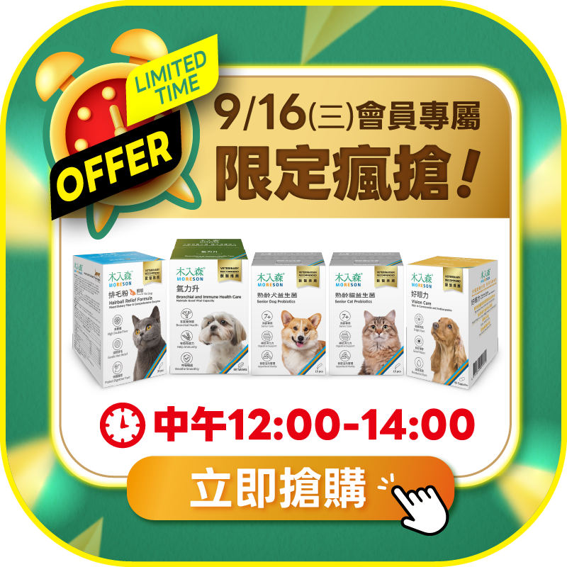 0916限搶