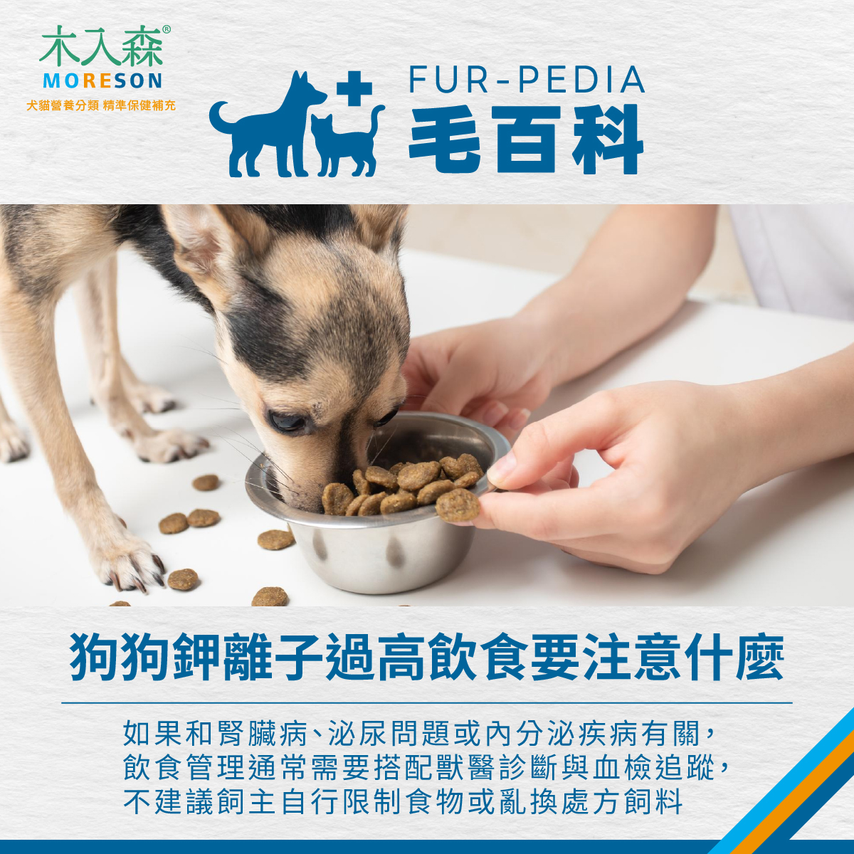 狗狗鉀離子過高飲食要注意什麼 狗狗正在吃飼料,說明狗狗鉀離子過高時飲食需搭配獸醫診斷,並留意腎臟、泌尿與內分泌相關問題