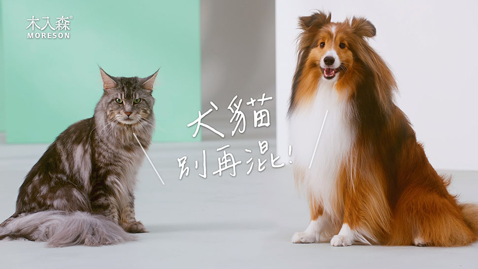 讓他陪我們走更久，趁早保健，維持最佳狀態，木入森給毛孩最精準的健康生活