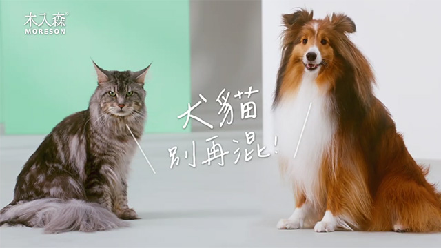 讓他陪我們走更久，趁早保健，維持最佳狀態，木入森給毛孩最精準的健康生活
