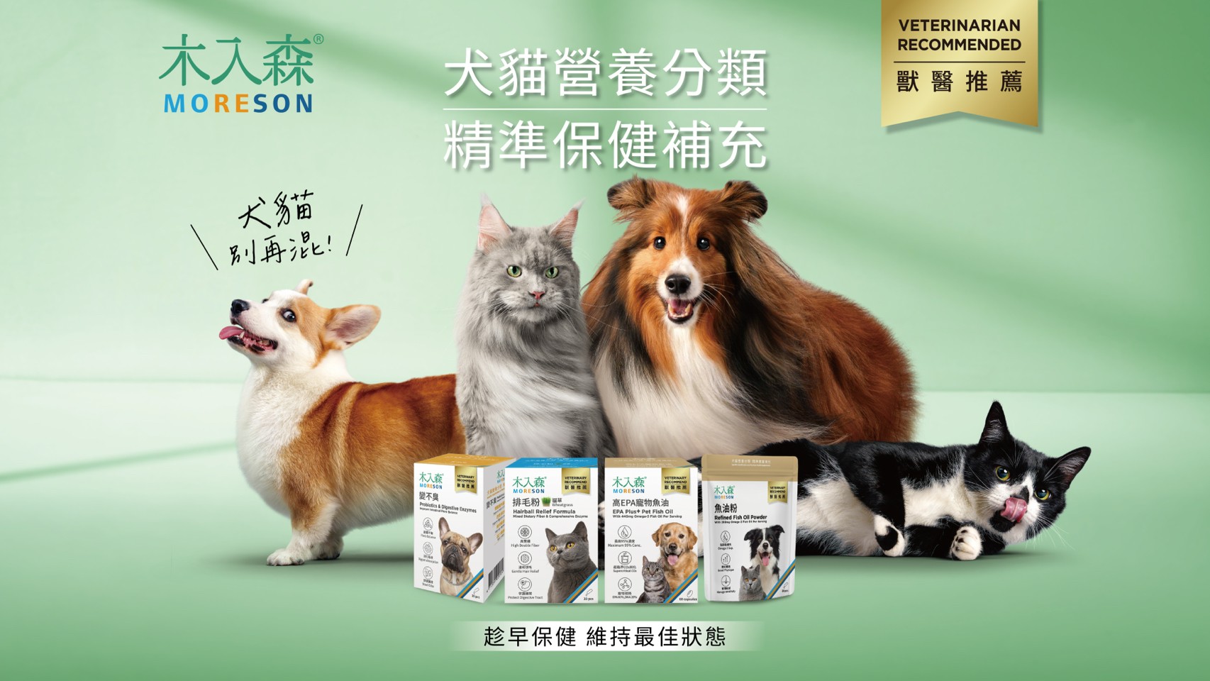 木入森犬貓營養分類頁主視覺,展示狗狗、貓咪與多款犬貓保健營養補充品