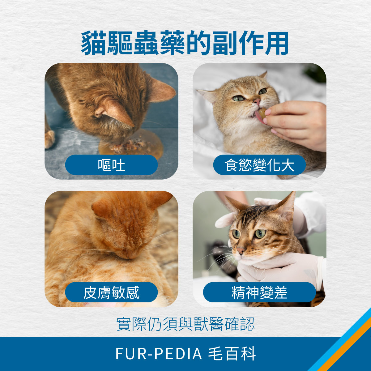 貓咪驅蟲藥的副作用有哪些 四張貓咪驅蟲藥副作用示意圖,呈現嘔吐、食慾變化大、皮膚敏感與精神變差等可能反應,提醒實際狀況仍需與獸醫確認