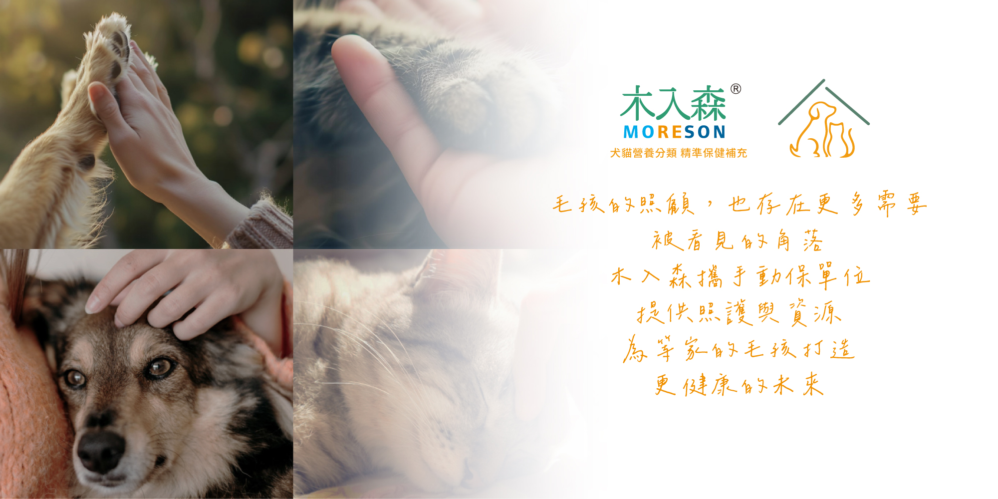 木入森公益行動區塊,呈現撫摸毛孩、陪伴狗狗與貓咪的溫暖互動畫面