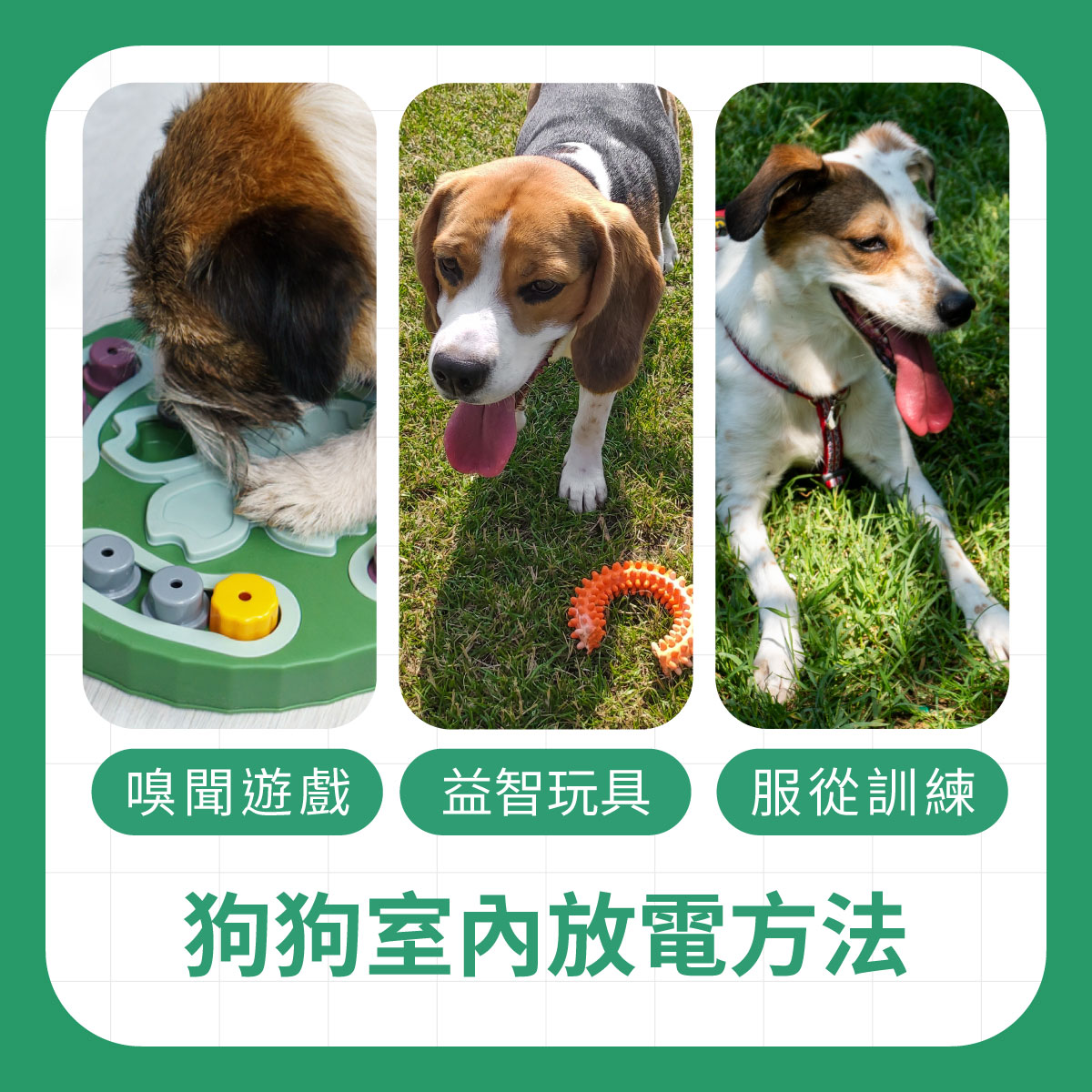 三張狗狗室內放電示意圖，呈現嗅聞遊戲、益智玩具與服從訓練，適合下雨天無法長時間外出時參考
