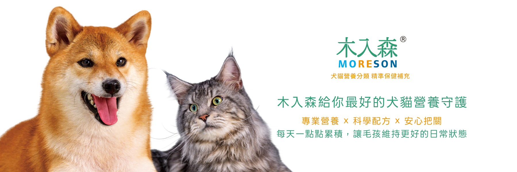木入森犬貓營養守護結尾視覺,柴犬與貓咪搭配品牌標語呈現日常保健理念