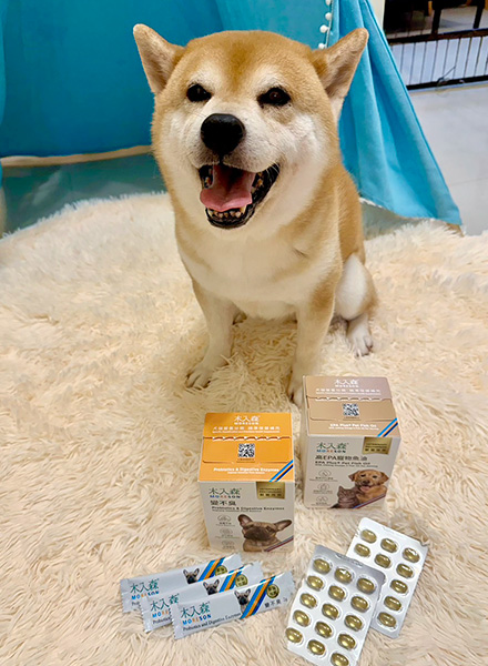 狗狗保健