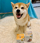 狗狗保健