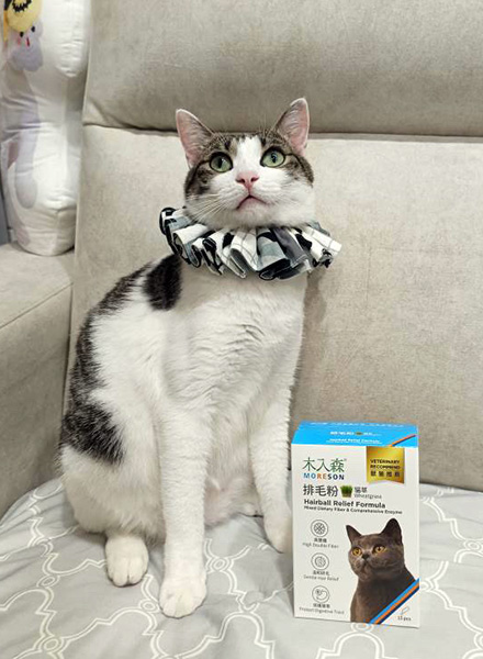 貓咪保健