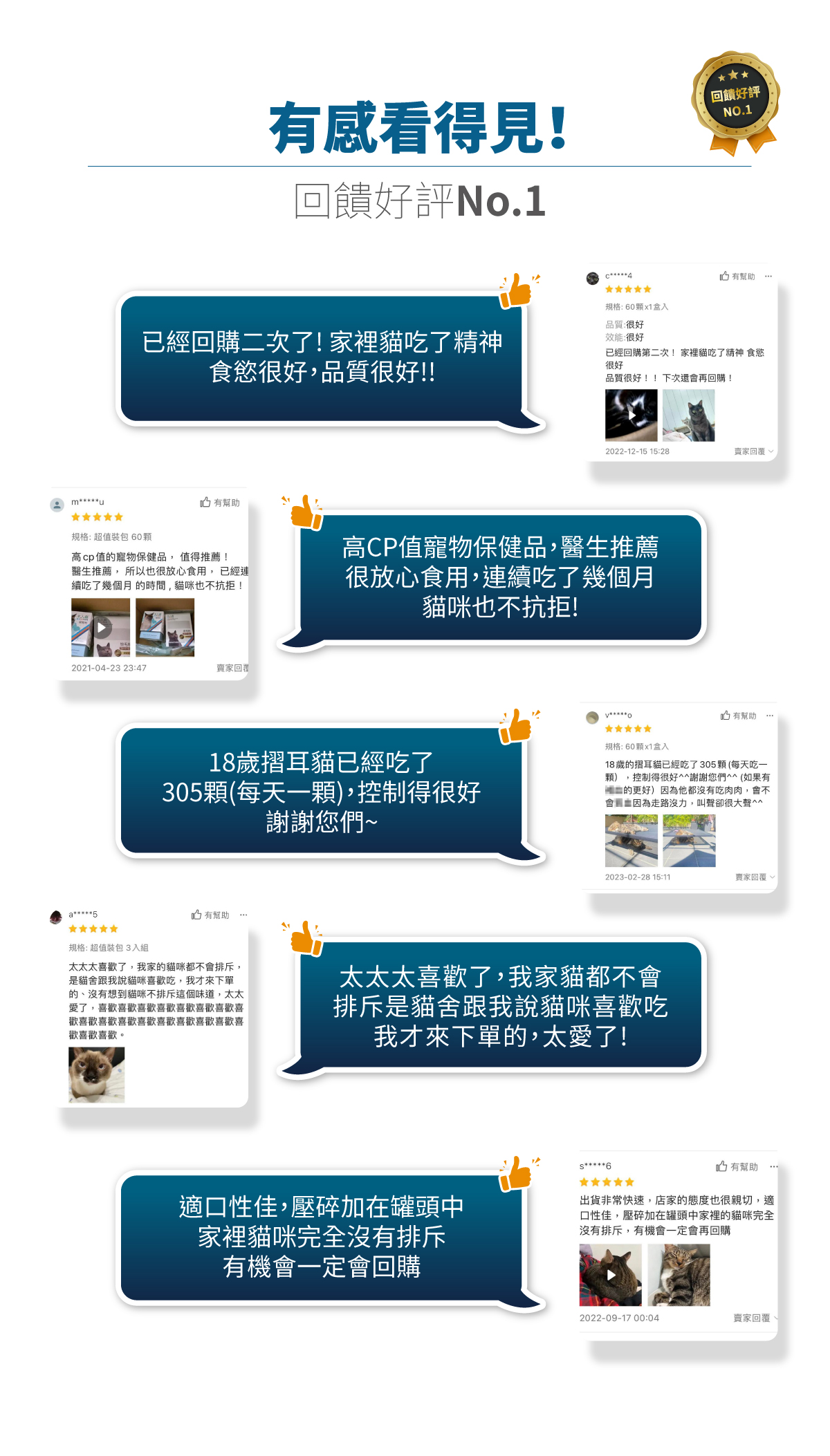 木入森 貓咪保腎利｜貓咪腎臟保健食品_9