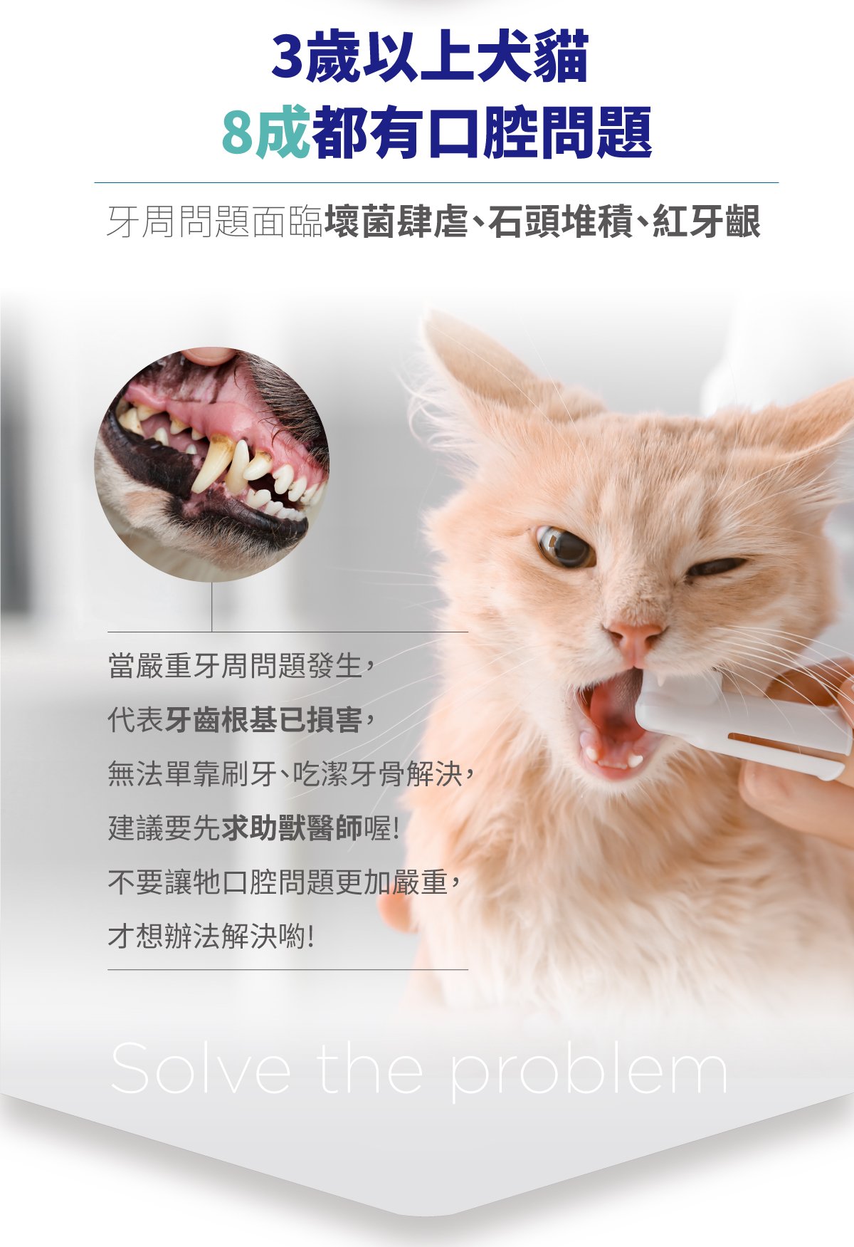 木入森 固齒麗口腔護理凝膠_3 木入森 固齒麗口腔護理凝膠_3