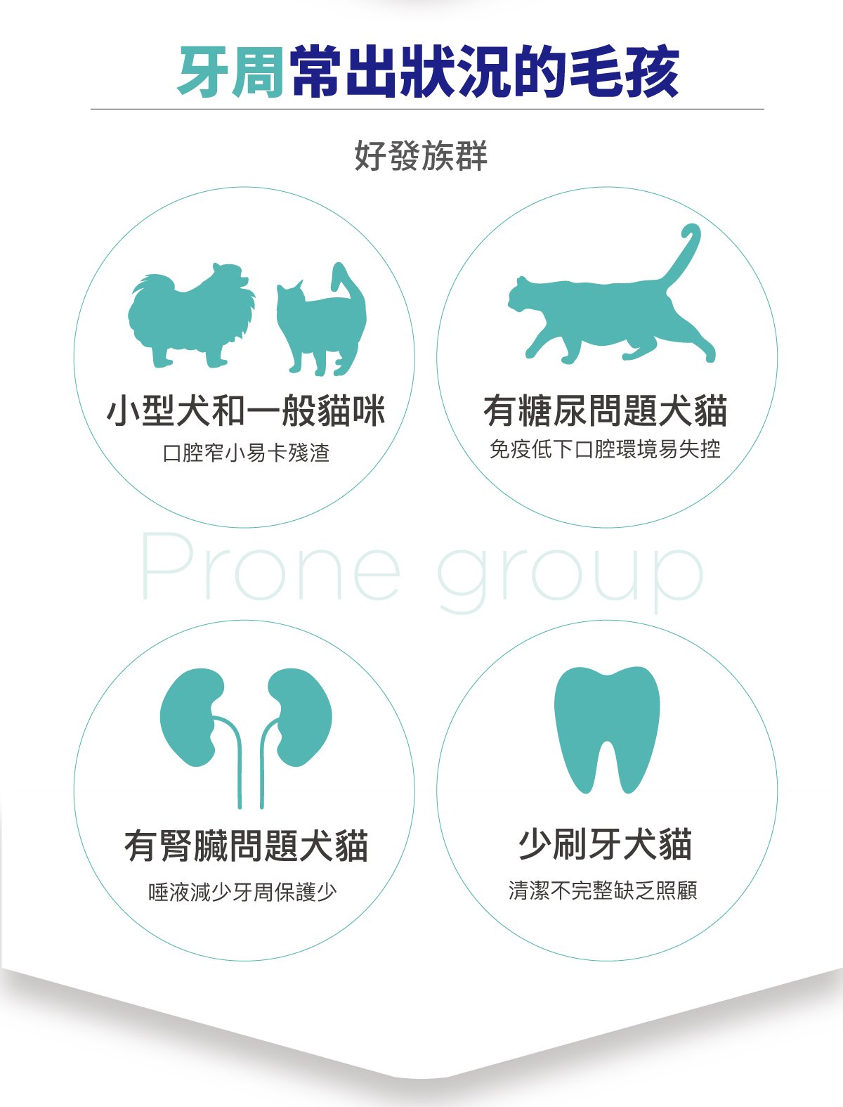 木入森 固齒麗口腔護理凝膠_4 木入森 固齒麗口腔護理凝膠_4