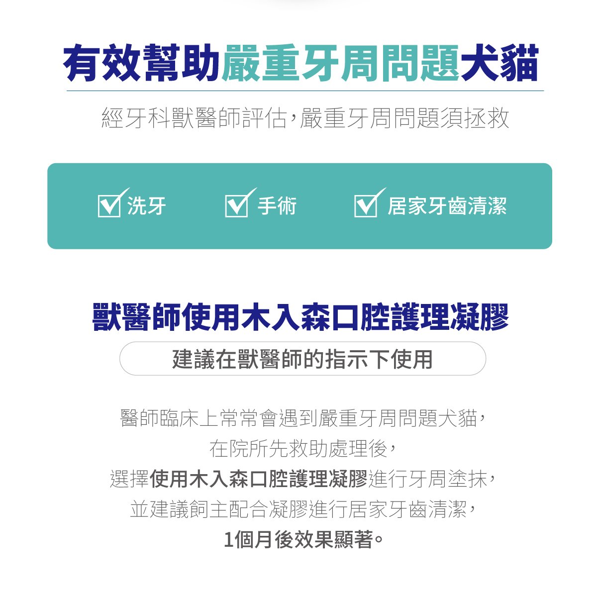 木入森 固齒麗口腔護理凝膠_6 木入森 固齒麗口腔護理凝膠_6