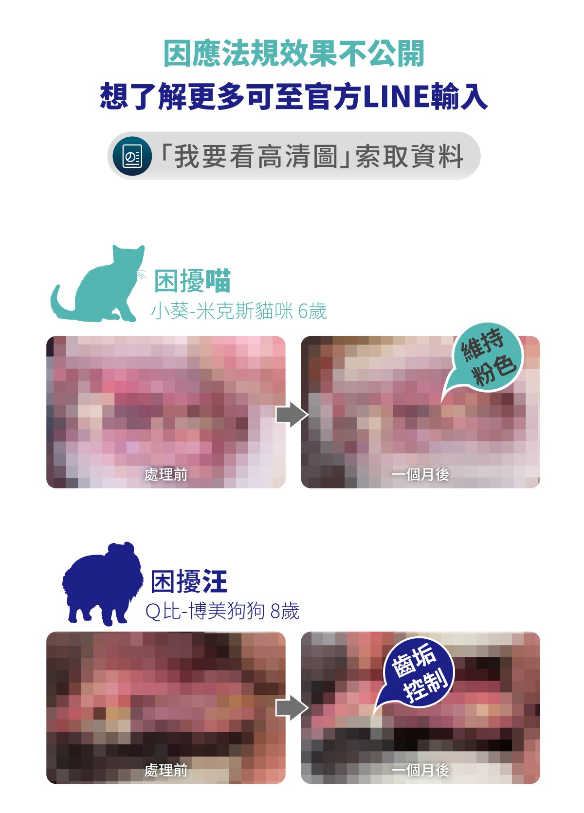 木入森 固齒麗口腔護理凝膠_7 木入森 固齒麗口腔護理凝膠_7