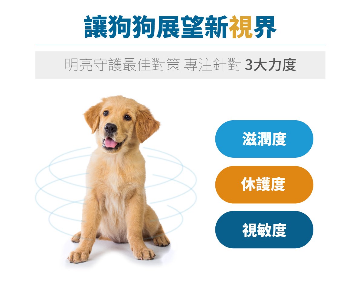 木入森 犬寶好眼力｜狗狗葉黃素_7