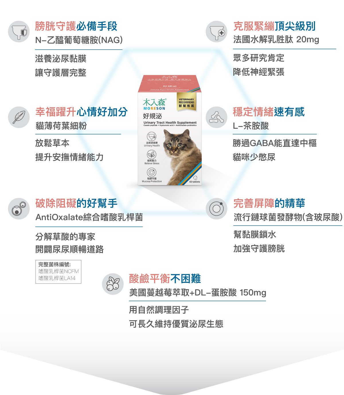 木入森 貓咪好規泌｜貓咪泌尿道保健食品｜粉紅貓薄荷錠_10