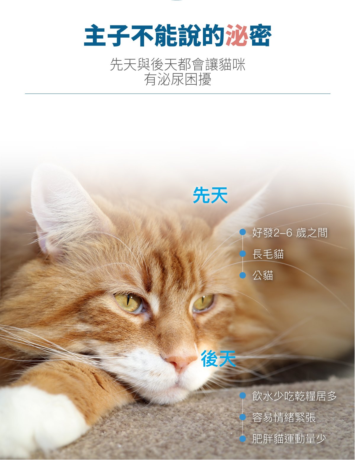 木入森 貓咪好規泌｜貓咪泌尿道保健食品｜粉紅貓薄荷錠_2
